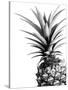 Pineapple (BW)-Lexie Greer-Stretched Canvas