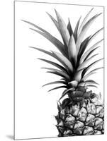 Pineapple (BW)-Lexie Greer-Mounted Photographic Print