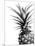 Pineapple (BW)-Lexie Greer-Mounted Photographic Print