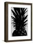 Pineapple bw-1x Studio III-Framed Photographic Print