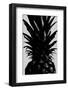 Pineapple bw-1x Studio III-Framed Photographic Print