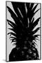 Pineapple bw-1x Studio III-Mounted Photographic Print