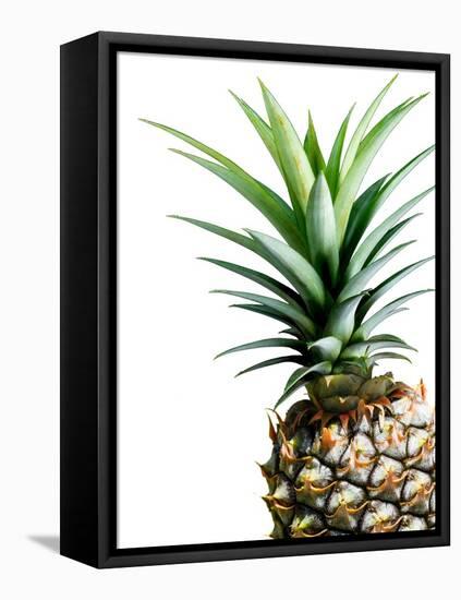 Pineapple (color)-Lexie Greer-Framed Stretched Canvas