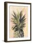 Pineapple Delight I-Naomi McCavitt-Framed Art Print