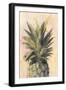 Pineapple Delight I-Naomi McCavitt-Framed Art Print