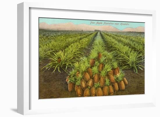 Pineapple Field, Hawaii-null-Framed Art Print