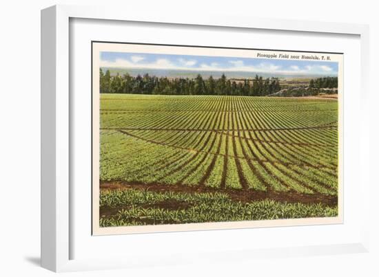 Pineapple Field, Honolulu, Hawaii-null-Framed Art Print