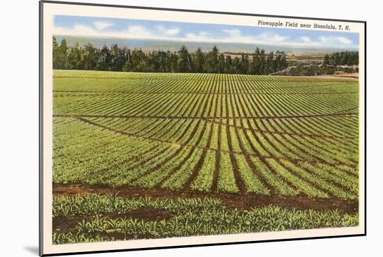 Pineapple Field, Honolulu, Hawaii-null-Mounted Art Print