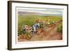 Pineapple Field, Honolulu, Hawaii-null-Framed Art Print