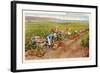 Pineapple Field, Honolulu, Hawaii-null-Framed Art Print