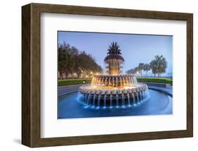 Pineapple Fountain Charleston-null-Framed Art Print