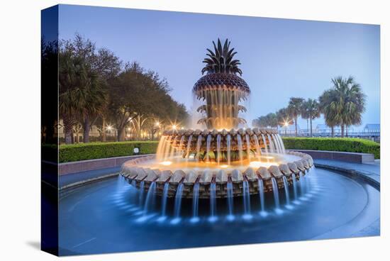 Pineapple Fountain Charleston-null-Stretched Canvas