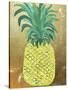 Pineapple Gold-Ann Tygett Jones Studio-Stretched Canvas