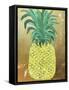 Pineapple Gold-Ann Tygett Jones Studio-Framed Stretched Canvas