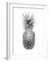 Pineapple Gray II-Kate Bennett-Framed Art Print