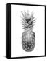 Pineapple Gray II-Kate Bennett-Framed Stretched Canvas