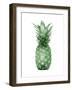 Pineapple Green I-Kate Bennett-Framed Art Print