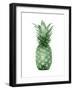 Pineapple Green I-Kate Bennett-Framed Art Print