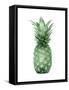 Pineapple Green I-Kate Bennett-Framed Stretched Canvas