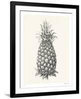 Pineapple - Likeness-Hilary Armstrong-Framed Limited Edition