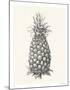 Pineapple - Likeness-Hilary Armstrong-Mounted Limited Edition