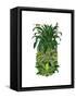 Pineapple, Monkeys-Fab Funky-Framed Stretched Canvas