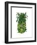 Pineapple, Monkeys-Fab Funky-Framed Art Print