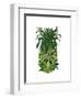 Pineapple, Monkeys-Fab Funky-Framed Art Print