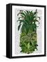 Pineapple, Monkeys-Fab Funky-Framed Stretched Canvas
