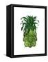 Pineapple, Monstera Leaf-Fab Funky-Framed Stretched Canvas