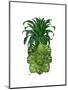 Pineapple, Monstera Leaf-Fab Funky-Mounted Art Print