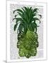 Pineapple, Monstera Leaf-Fab Funky-Mounted Art Print