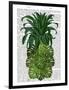 Pineapple, Monstera Leaf-Fab Funky-Framed Art Print