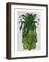 Pineapple, Monstera Leaf-Fab Funky-Framed Art Print