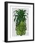 Pineapple, Monstera Leaf-Fab Funky-Framed Art Print