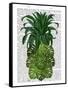 Pineapple, Monstera Leaf-Fab Funky-Framed Stretched Canvas