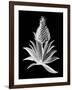 Pineapple Noir I-Vision Studio-Framed Art Print