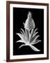 Pineapple Noir I-Vision Studio-Framed Art Print