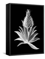 Pineapple Noir I-Vision Studio-Framed Stretched Canvas