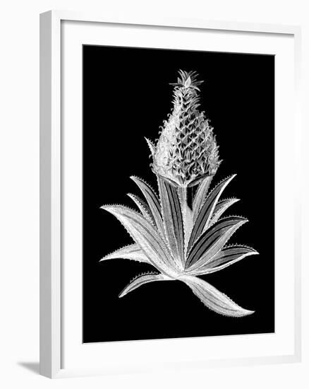 Pineapple Noir I-Vision Studio-Framed Art Print