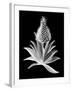 Pineapple Noir I-Vision Studio-Framed Art Print