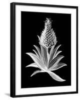 Pineapple Noir I-Vision Studio-Framed Art Print