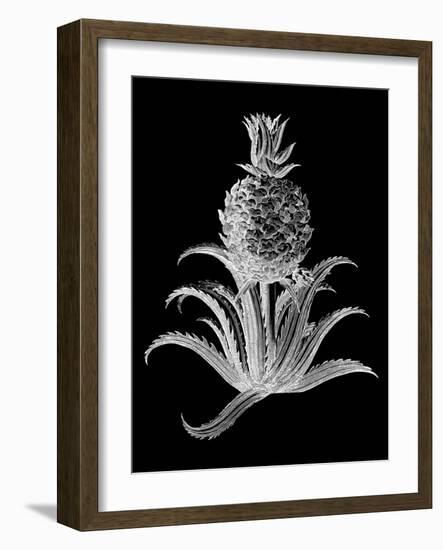 Pineapple Noir II-Vision Studio-Framed Art Print