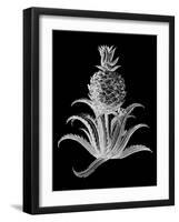 Pineapple Noir II-Vision Studio-Framed Art Print