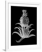 Pineapple Noir II-Vision Studio-Framed Art Print