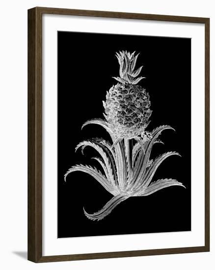 Pineapple Noir II-Vision Studio-Framed Art Print