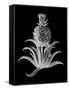 Pineapple Noir II-Vision Studio-Framed Stretched Canvas