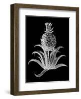 Pineapple Noir II-Vision Studio-Framed Art Print