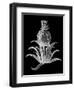 Pineapple Noir II-Vision Studio-Framed Art Print