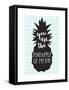 Pineapple of My Eye Aqua-Bella Dos Santos-Framed Stretched Canvas